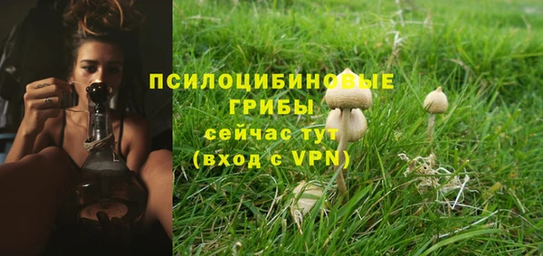 эйфоретик Богородицк