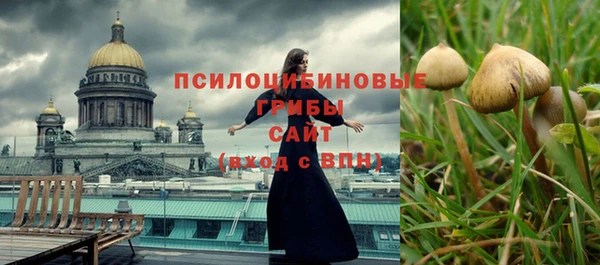 крисы Богородск
