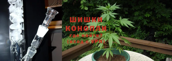 крисы Богородск